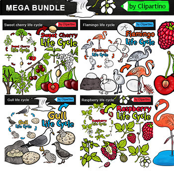 Preview of Summer life cycle Clip Art Bundle/ Summer clipart Commercial use