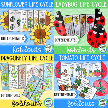 Preview of Summer life cycles foldable activities | sunflower tomato ladybug dragonfly