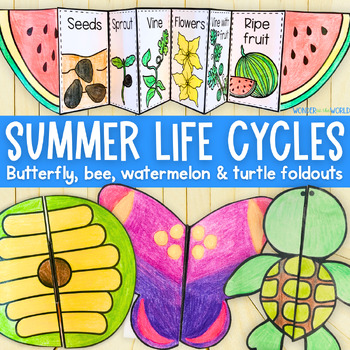 Preview of Summer life cycles foldable activities | watermelon, butterfly, honeybee, turtle