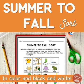 Preview of Summer to Fall Sort Worksheet