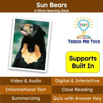 Preview of Sun Bears Informational Text Reading Passage and Activities