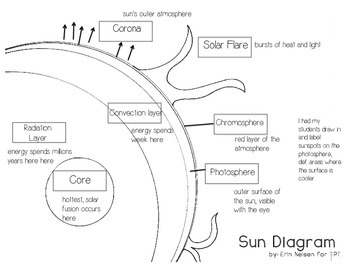 Diagram Of The Sun Worksheet