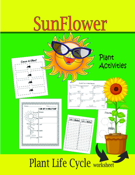 Preview of SunFlower Plant Activities (Plant Life Cycle Worksheet)