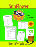 SunFlower Plant Activities (Plant Life Cycle Worksheet)