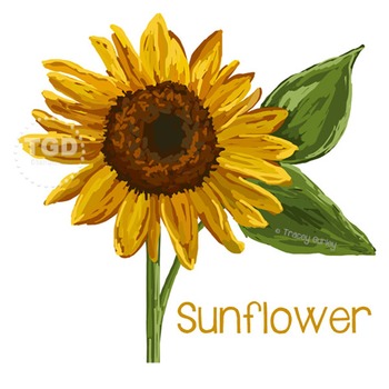 Free Free 318 Printable Simple Sunflower Clipart SVG PNG EPS DXF File