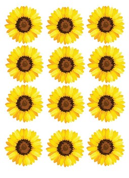 Birthday Calendar Printable Pages - graphics optional - 4 Design Options —  Sunflower Child Designs