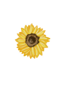 Sunflower ClipArt by WhitSources | Teachers Pay Teachers