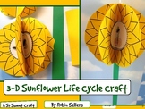 Sunflower Craft: {3-D Life Cycle of a Sunflower Craftivity