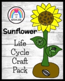 Sunflower Craft Life Cycle Activity - Fall Plant Parts Sci
