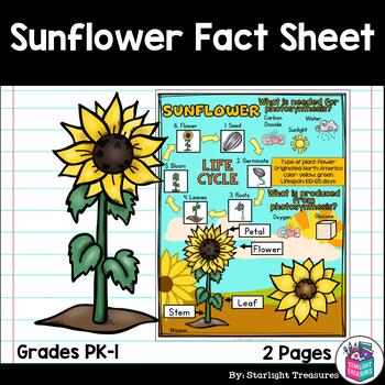 Preview of Sunflower Fact Sheet for Early Readers - Plant Study