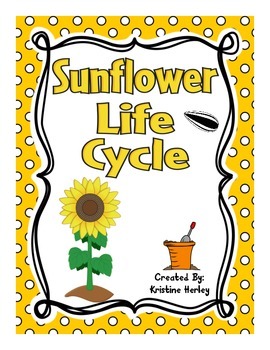 Preview of Sunflower Life Cycle