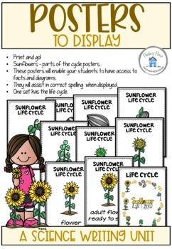Sunflower Life Cycle Activities and Worksheets | TpT
