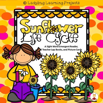 Preview of Sunflower Life Cycle (A Sight Word Emergent Reader, 2 Teacher Lap Books)
