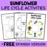 Sunflower Life Cycle Activities