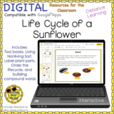 Sunflower Life Cycle Book Activities Google Distance Learning 