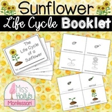 Sunflower Life Cycle Booklet Summer/Fall Activity Montesso