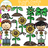 Fall Kids Sunflower Life Cycle Clip Art {Fall Sequencing C