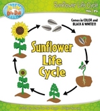 Sunflower Life Cycle Clipart {Zip-A-Dee-Doo-Dah Designs}