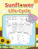 Sunflower Life Cycle Cut Paste Project