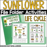 Sunflower Life Cycle File Folder Activities