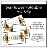 Sunflower Life Cycle - Foldable Activity