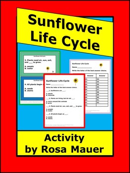 Preview of Sunflower Life Cycle Multiple Choice Task Cards and Worksheet