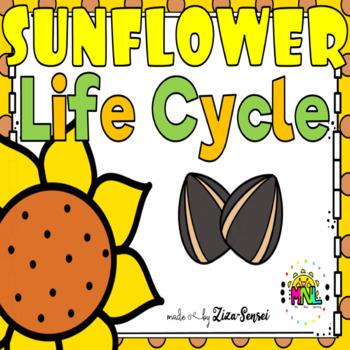 Preview of Sunflower Life Cycle Pack 2nd Grade Flip Book Included