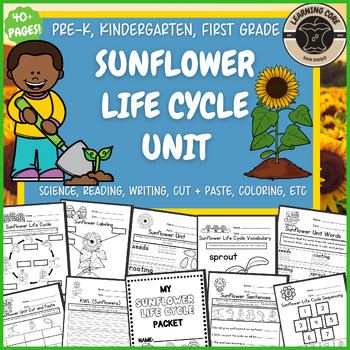 Preview of Sunflower Life Cycle Science Worksheets October PreK Kindergarten First TK UTK