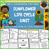 Sunflower Life Cycle Science Worksheets October PreK Kinde