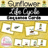 Sunflower Life Cycle Sequencing Cards Summer/Fall Activity