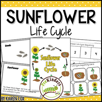 Preview of Sunflower Life Cycle Science | Preschool Pre-K