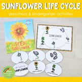 Sunflower Life Cycle Set - Preschool & Kindergarten  Scien