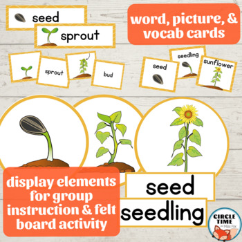 Sunflower Life Cycle Worksheets Flower Printable Sequence Kindergarten ...