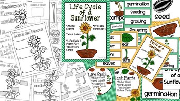 Preview of Sunflower Life Cycle and Plant Parts Unit