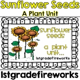 Sunflower Seeds - A Plant Unit