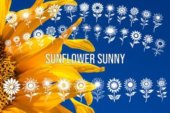 Preview of Sunflower Sunny Font