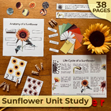 Preview of Sunflower Unit Study, Sunflower Life Cycle, Sunflower Anatomy, Montessori Unit