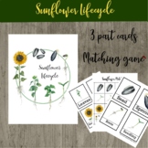 Sunflowers 3 part cards sunflower lifecycle cards