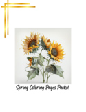 Sunflowers Coloring Pages| 5-Pages| Spring Packet