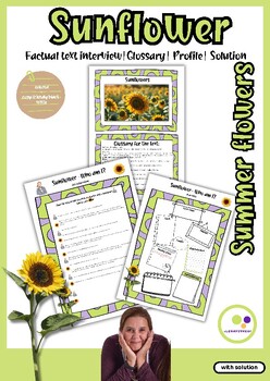 Preview of Sunflowers Factual text interview | Glossary| Profile| Solution