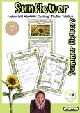 Sunflowers Factual text interview | Glossary| Profile| Solution