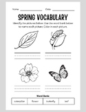 Super Fun Spring Activity Booklet! (Math, Literacy, Art, a