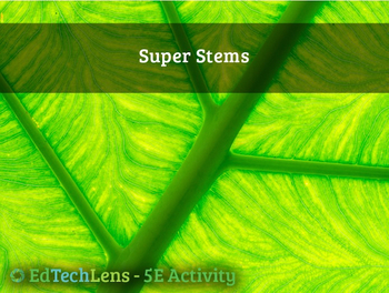 Preview of Super Stems Move Water - Plant Structure and Function - Classroom Activity