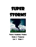 Super Storms Picture Vocabulary Posters for Grade 2 Treasures