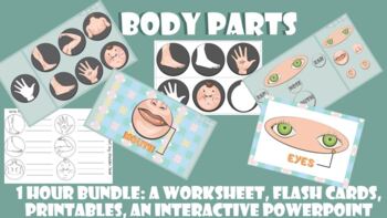 body parts for kindergarten teaching resources tpt