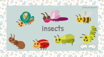 Preview of Super interactive PowerPoint"Insects"  for preschool and primary school students