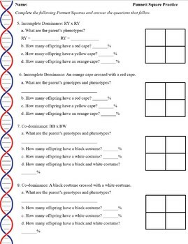 Genetics: Superhero Punnett Square Practice Problems by Biology Domain