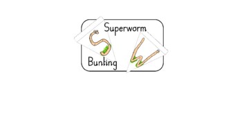 Preview of Superworm Bunting