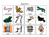 Superworm by Julia Donaldson VISUALS for AAC/comprehension