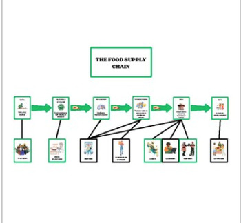 Preview of Supply Chain Chart & Cards (Montessori)